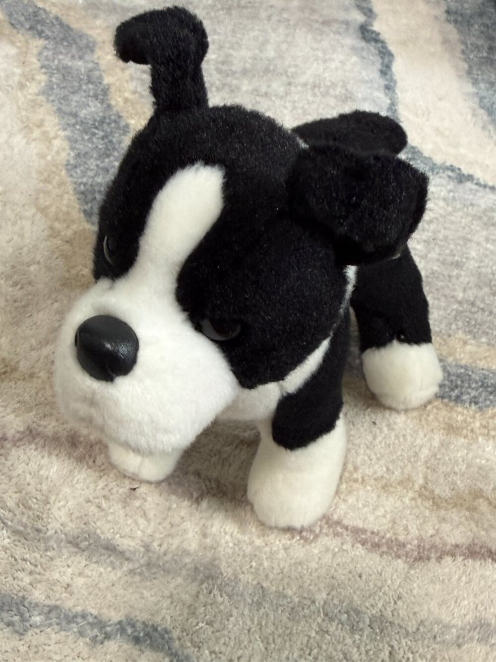 Douglas Quincy Boston Terrier Dog 8" Plush Puppy Dog Stuffed Animal